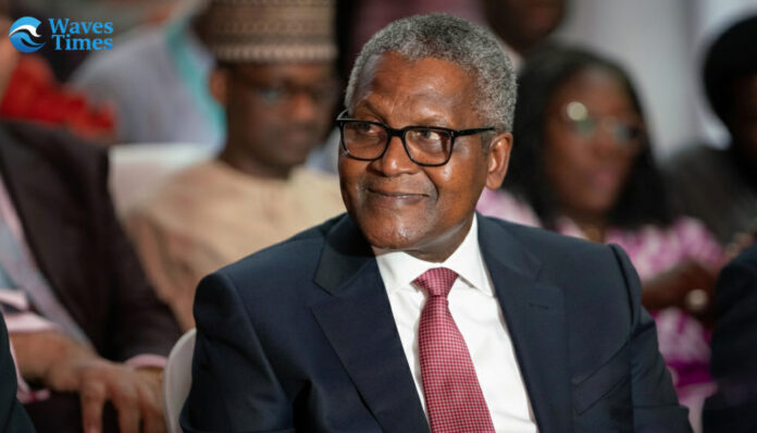 Inside the Price Gap: Aliko Dangote Breaks Silence on Why Cement Costs Less Outside Nigeria Inside the Price Gap: Aliko Dangote Breaks Silence on Why Cement Costs Less Outside Nigeria